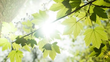 Co jste nevěděli o důležitosti vitamínu D?